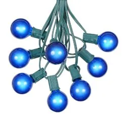 100 G40 Globe String Light Set With Blue Bulbs On Green Wire