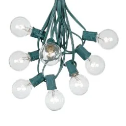 100 G40 Globe String Light Set With Clear Bulbs On Green Wire -Holiday Lights Sales 0010064 100 g40 globe string light set with clear bulbs on green wire