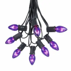 C7 25 Light String Set With Purple Twinkle Bulbs On Black Wire 13 C7 25 Light String Set With Purple Twinkle Bulbs On Black Wire -Holiday Lights Sales 0012749 c7 25 light string set with purple twinkle bulbs on black wire