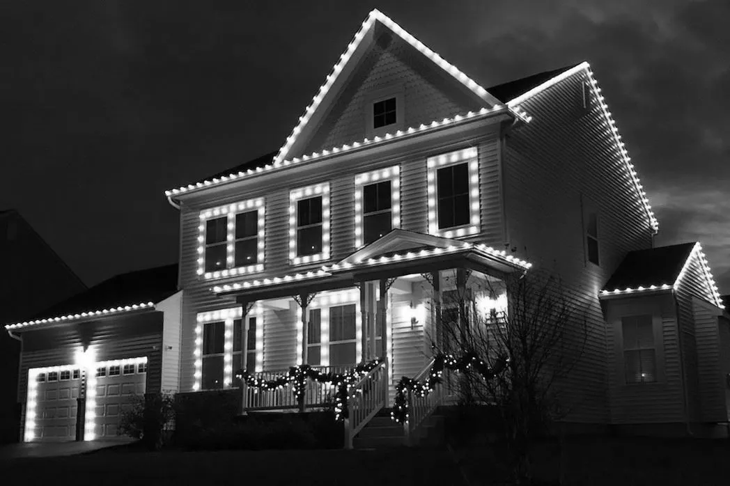 Pure White C9 LED Replacement Bulbs 25 Pack 2 Pure White C9 LED Replacement Bulbs 25 Pack - Image 2