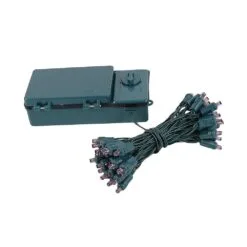 50 LED Battery Operated Lights Purple Green WIre -Holiday Lights Sales 0019820 50 led battery operated lights purple green wire