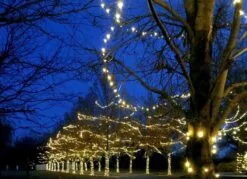 Commercial Grade Wide Angle 100 LED Warm White 50' Long On White Wire -Holiday Lights Sales 0020529 commercial grade wide angle 100 led warm white 50 long on white wire