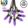 25 Light String Set With Purple LED C7 Bulbs On Brown Wire