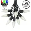 25 Light String Set With Warm White LED C9 Bulbs On Black Wire
