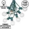 100 G40 Globe String Light Set With Clear Bulbs On Green Wire