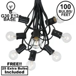100 G30 Globe String Light Set With Clear Bulbs On Black Wire