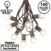 100 G30 Globe String Light Set With Frosted White Bulbs On Brown Wire