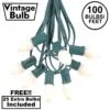 100 C7 String Light Set With White Ceramic Bulbs On Green Wire