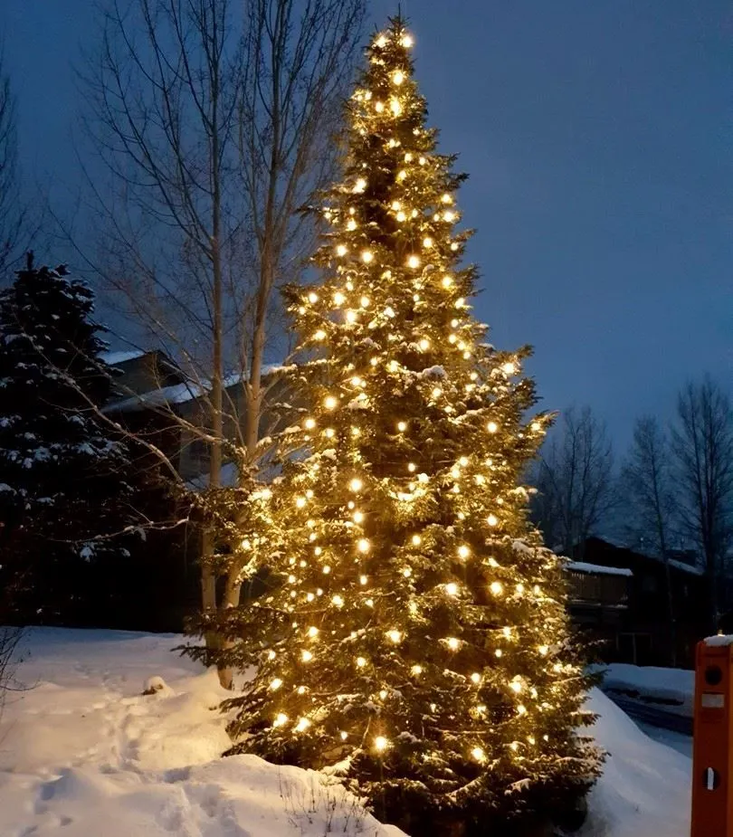 25 Light String Set With Warm White LED C7 Bulbs On Green Wire 2 25 Light String Set With Warm White LED C7 Bulbs On Green Wire - Image 2