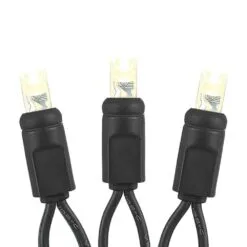 Twinkle LED Christmas Lights 50 LED Warm White 25' Black Wire 8 Twinkle LED Christmas Lights 50 LED Warm White 25' Black Wire -Holiday Lights Sales 0026811 twinkle led christmas lights 50 led warm white 25 black wire