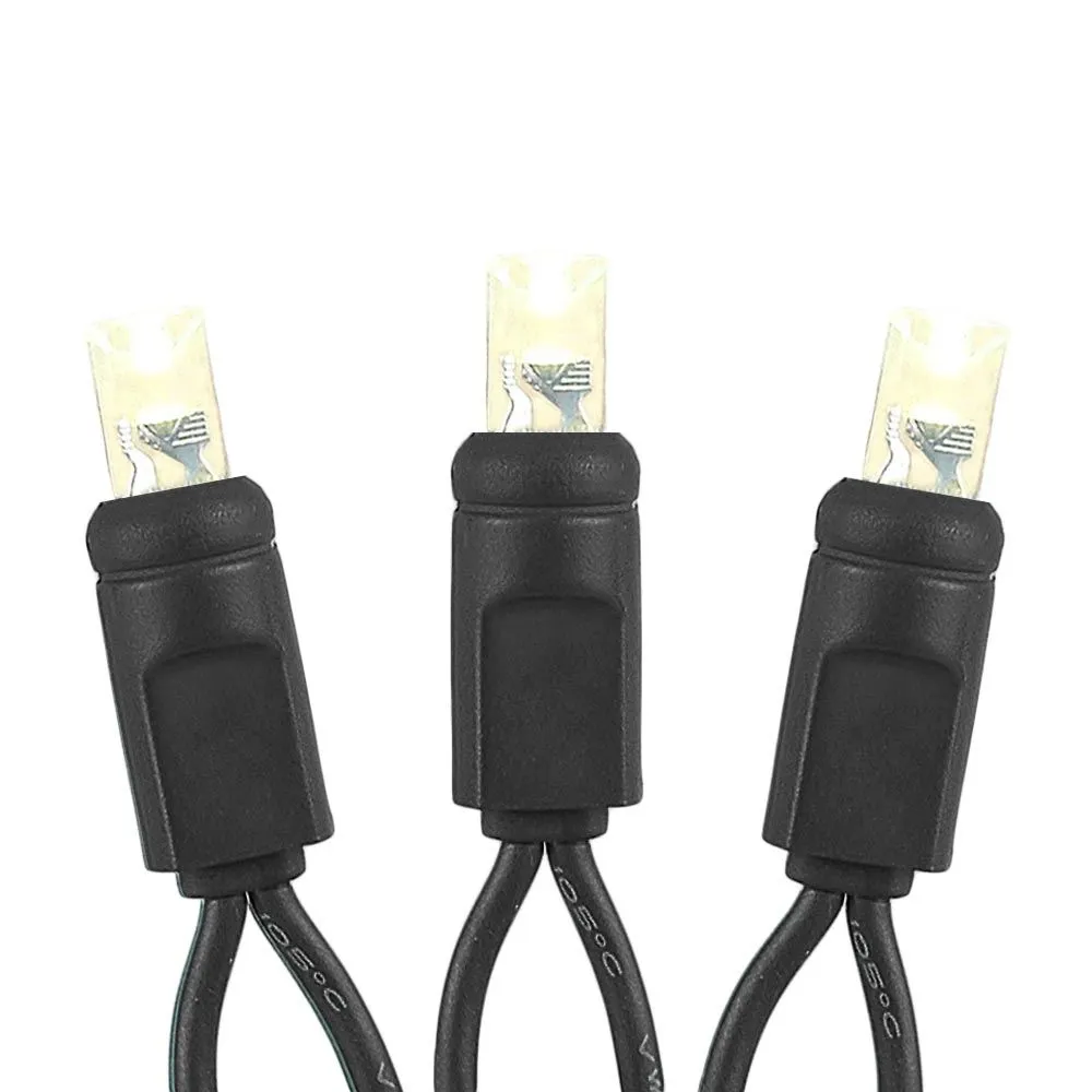 Twinkle LED Christmas Lights 50 LED Warm White 25' Black Wire 4 Twinkle LED Christmas Lights 50 LED Warm White 25' Black Wire - Image 4