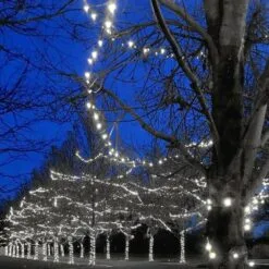 Commercial Grade Wide Angle 100 LED Pure White 34' Long On Green Wire -Holiday Lights Sales 0029197 commercial grade wide angle 100 led pure white 34 long on green wire