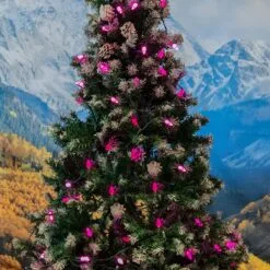 Pink 70 LED C6 Strawberry Mini Lights Commercial Grade On Green Wire -Holiday Lights Sales 0031889 pink 70 led c6 strawberry mini lights commercial grade on green wire