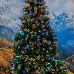 Multi 100 LED C6 Strawberry Mini Lights Commercial Grade Green Wire -Holiday Lights Sales 0031908 multi 100 led c6 strawberry mini lights commercial grade green wire