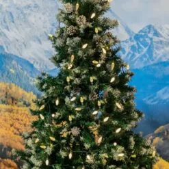 Warm White 100 LED C6 Strawberry Mini Lights Commercial Grade Green Wire 15 Warm White 100 LED C6 Strawberry Mini Lights Commercial Grade Green Wire -Holiday Lights Sales 0031911 warm white 100 led c6 strawberry mini lights commercial grade green wire