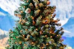 Commercial Grade Wide Angle 50 LED Amber 25' Long On Green Wire 12 Commercial Grade Wide Angle 50 LED Amber 25' Long On Green Wire -Holiday Lights Sales 0032003 commercial grade wide angle 50 led amber 25 long on green wire