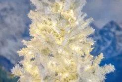 Commercial Grade Wide Angle 100 LED Warm White 50' Long On White Wire -Holiday Lights Sales 0032277 commercial grade wide angle 100 led warm white 50 long on white wire