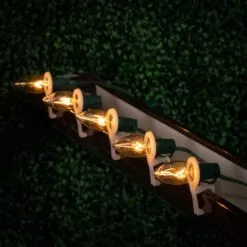 100 C9 Christmas Light Set - Clear Bulbs - Green Wire -Holiday Lights Sales 0032773 100 c9 christmas light set clear bulbs green wire