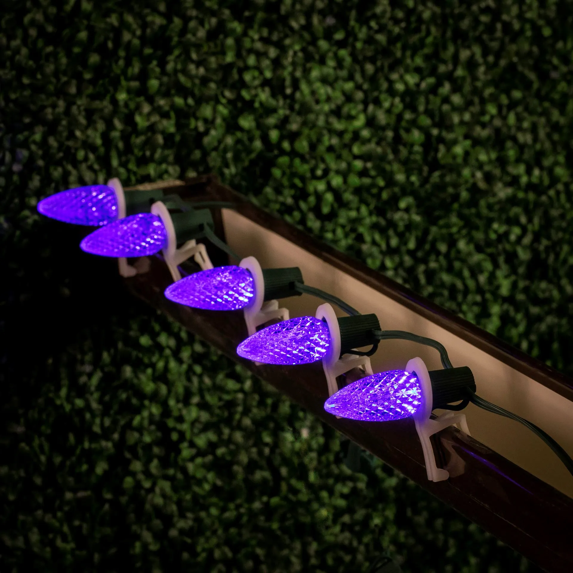 Purple C9 LED Replacement Bulbs 25 Pack 5 Purple C9 LED Replacement Bulbs 25 Pack - Image 5