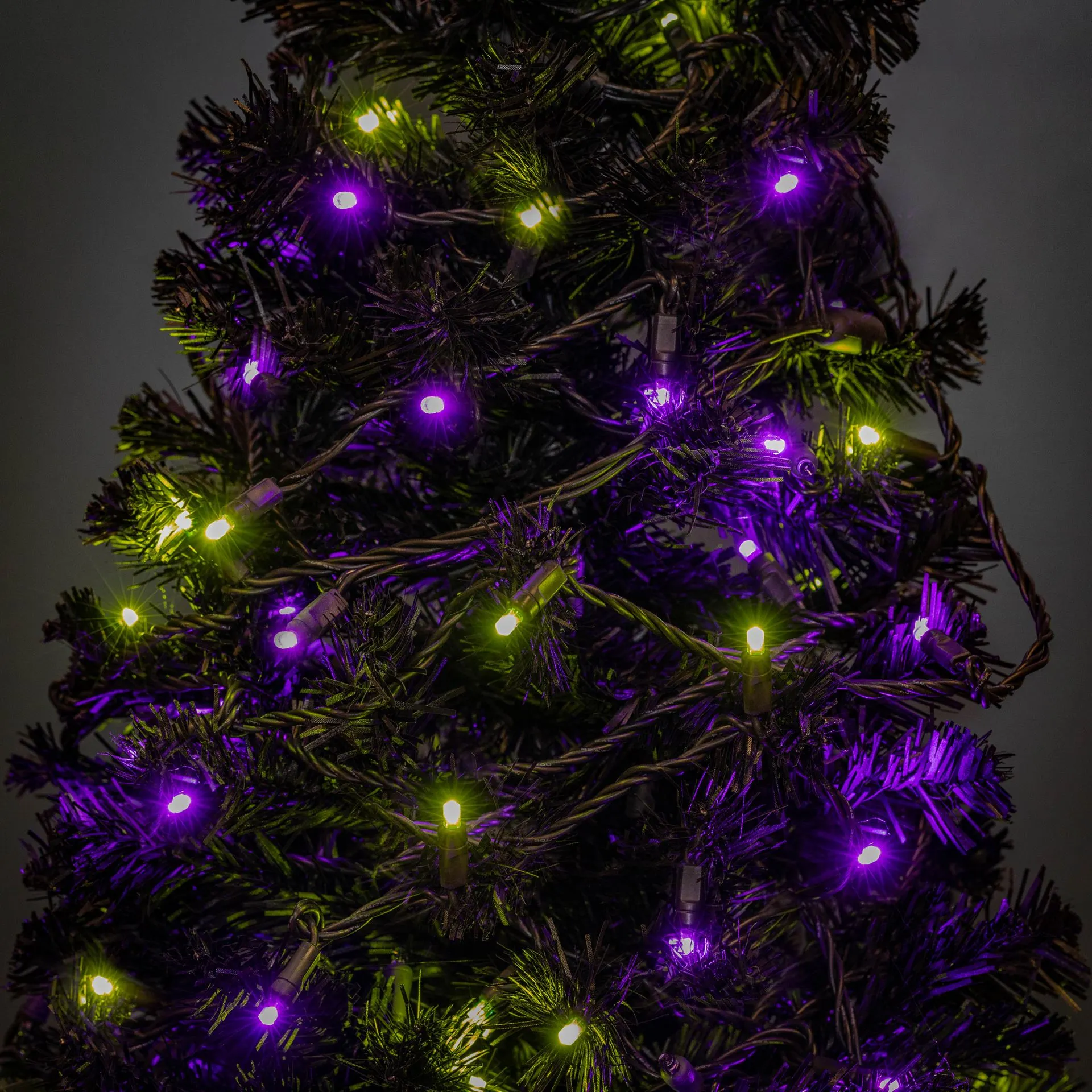 *NEW* True Twinkle LED Mini Lights 50 LED Purple & Lime 25' Long Black Wire 5 *NEW* True Twinkle LED Mini Lights 50 LED Purple & Lime 25' Long Black Wire - Image 5
